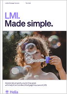 LMI factsheet